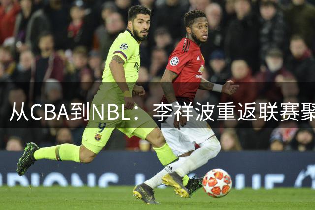 从CBA到NBL：李祥波重返联赛聚焦贵州猛龙冲击计划