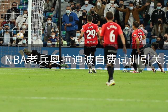 NBA老兵奥拉迪波自费试训引关注 34岁追梦之路感动联盟
